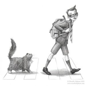 A New Cat Friend