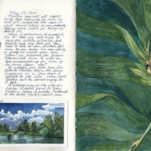 Mermay 2019 Interior